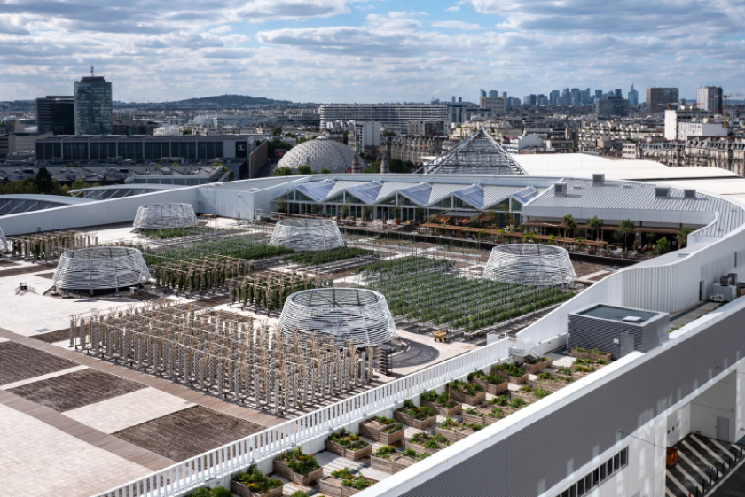 L’orto urbano più grande del mondo a Parigi. Foto di Agripolis.