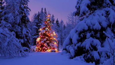 Il Natale ti mette tristezza? Ecco come farlo tornare ad essere una festa