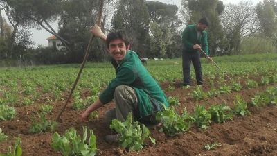 Agricoltura sociale, una nuova prospettiva educativa
