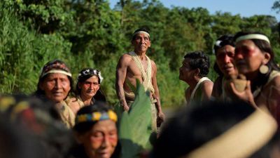 Amazzonia: la Chiesa non può tacere